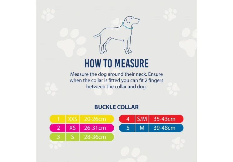 Ancol Viva Nylon Dog Collar Blue - Image 3
