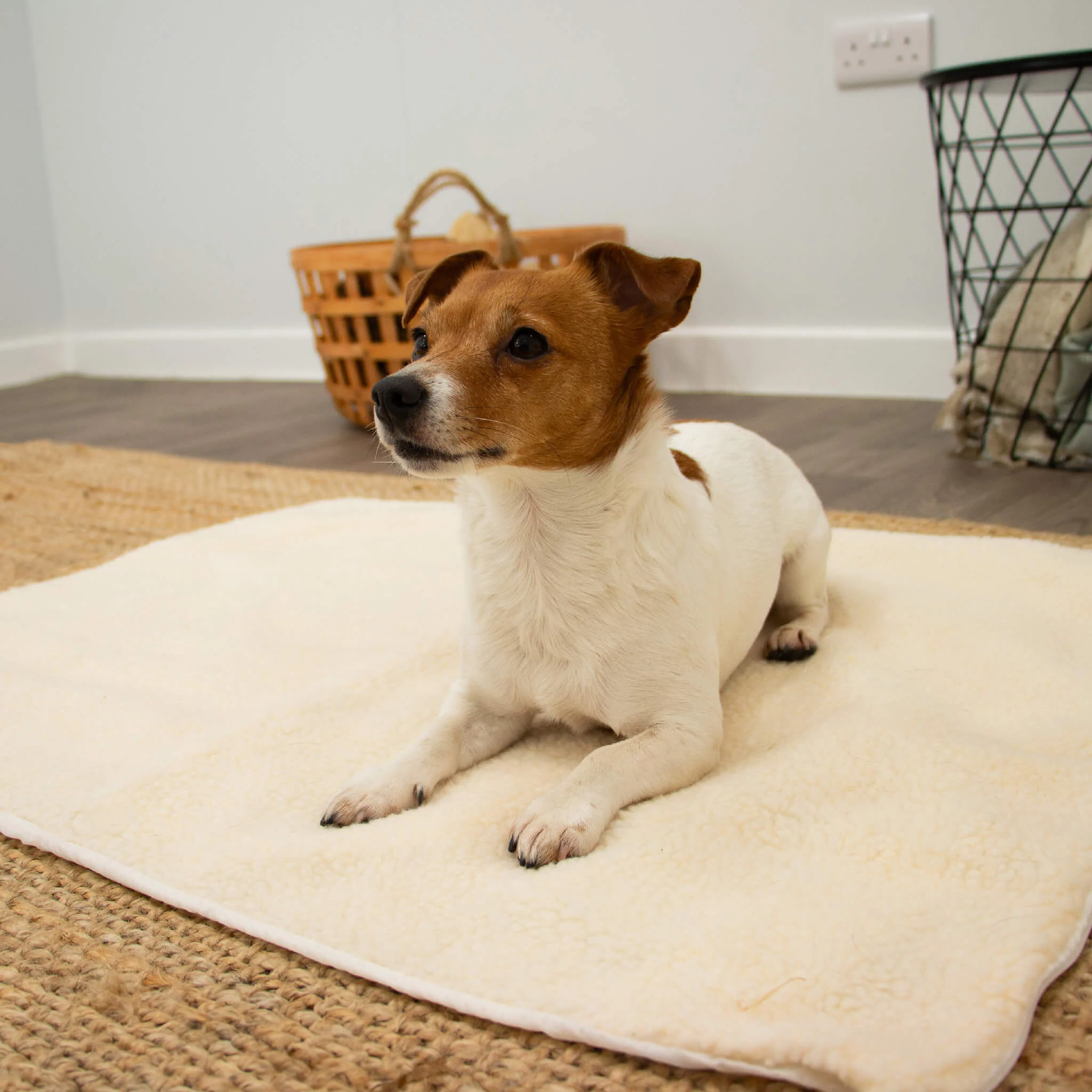 Ancol Self-Heating Pet Pad – Cat/Dog Bed - Image 3
