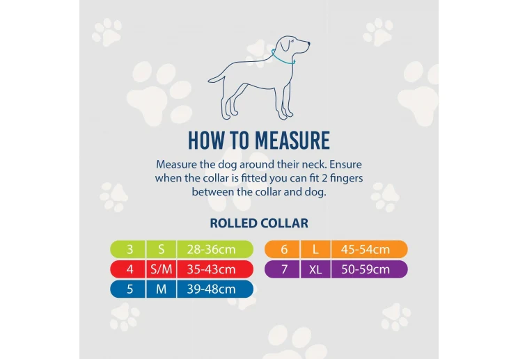 Ancol Timberwolf Rolled Collar Blue - Image 2