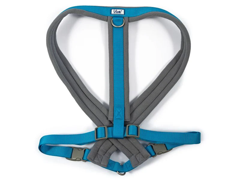 Ancol Viva Padded Harness Blue - Image 4