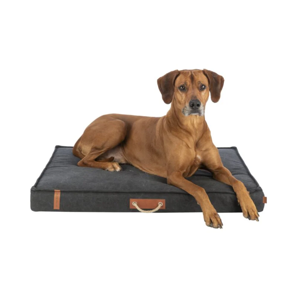 Be Nordic Föhr Mattress, 80 × 55 Cm, Black - Image 2
