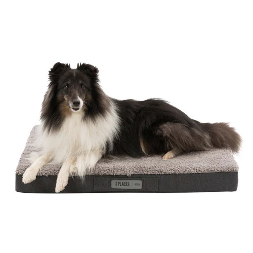 Bendson Orthopaedic Vital Dog Mattress – Grey