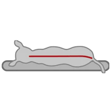 Bendson Orthopaedic Vital Dog Mattress – Grey - Image 5