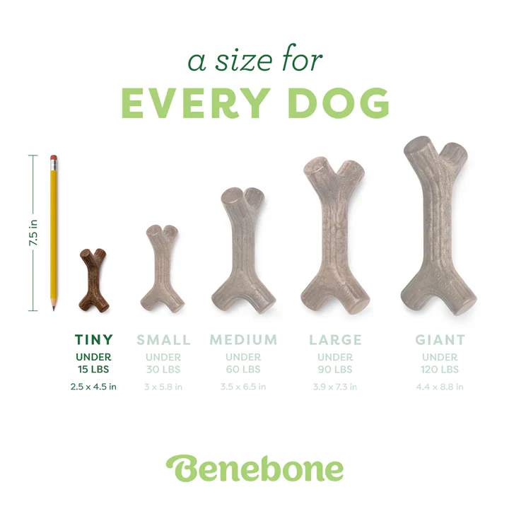 Benebone Maple Stick - Image 7