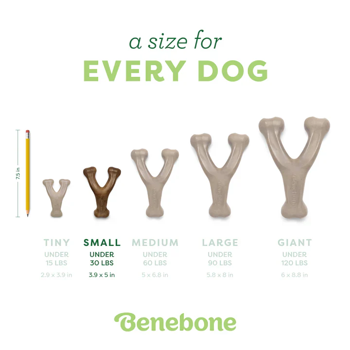 Benebone Wishbone Bacon Dog Chew - Image 4