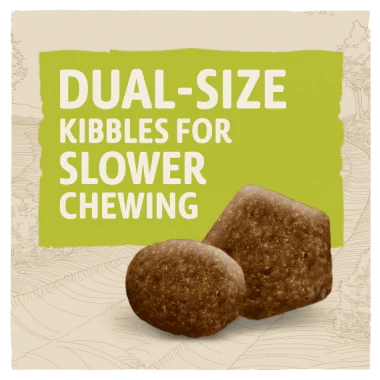 Beta Adult Chicken Dog Food 14kg - Image 3