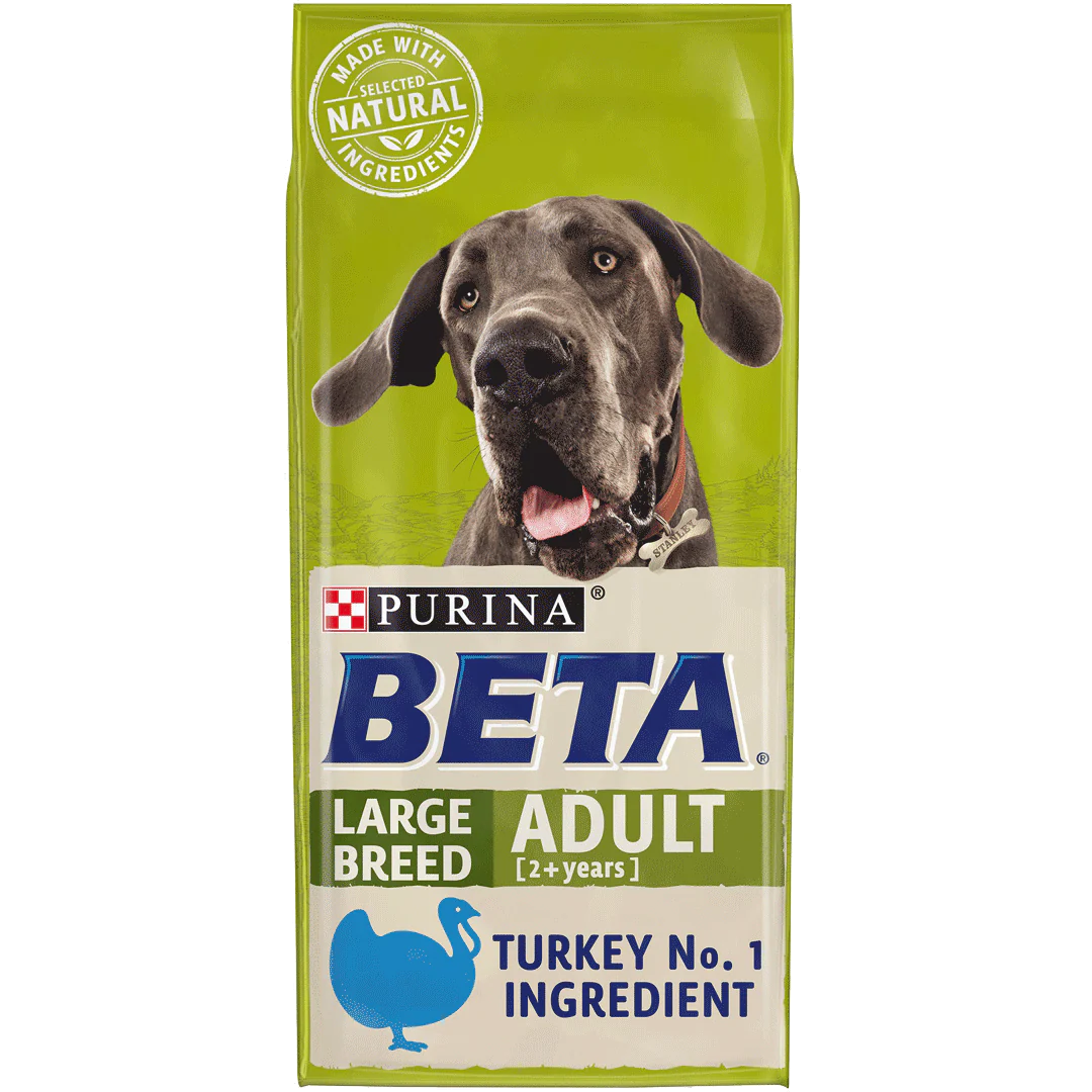 Beta Adult Large Breed with Turkey
