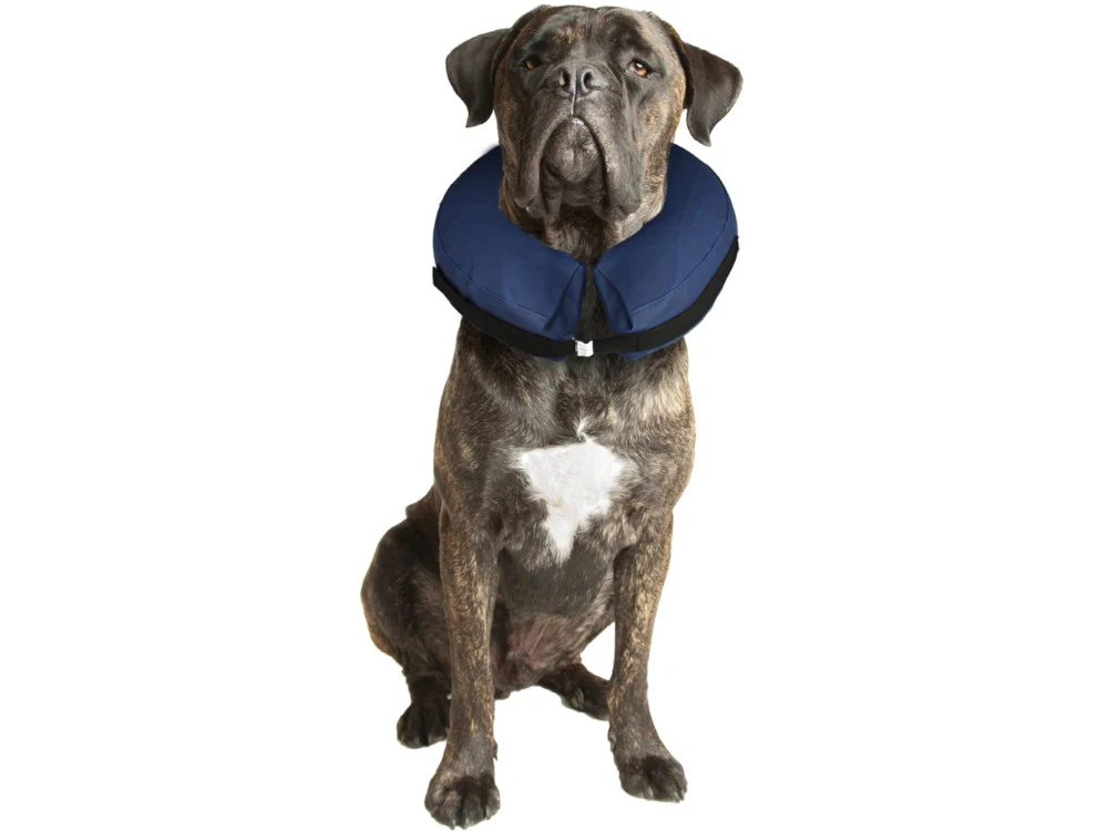 Flamingo Inflatable Dog Collar - Image 8