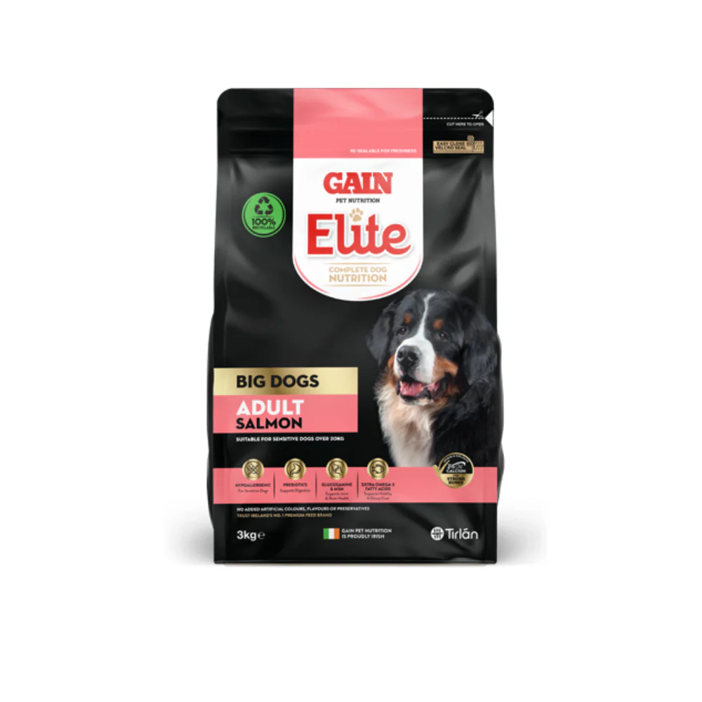 Gain Elite Lifesize Big Dog Adult Salmon