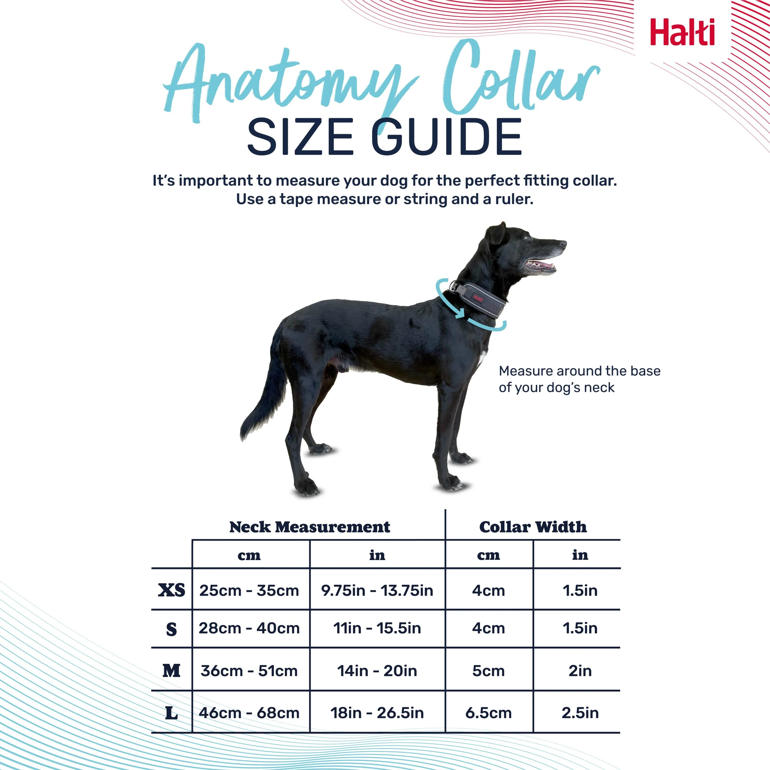 Halti Anatomy Dog Collar - Image 6