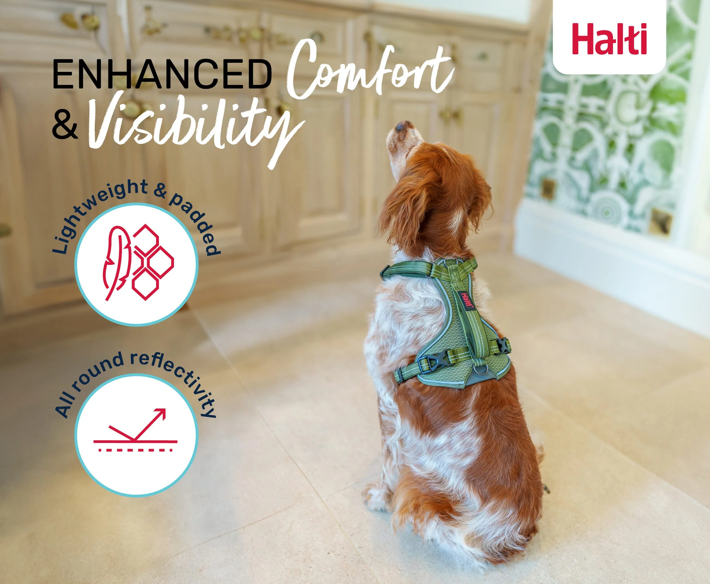 Halti Anatomy Dog Harness - Image 5