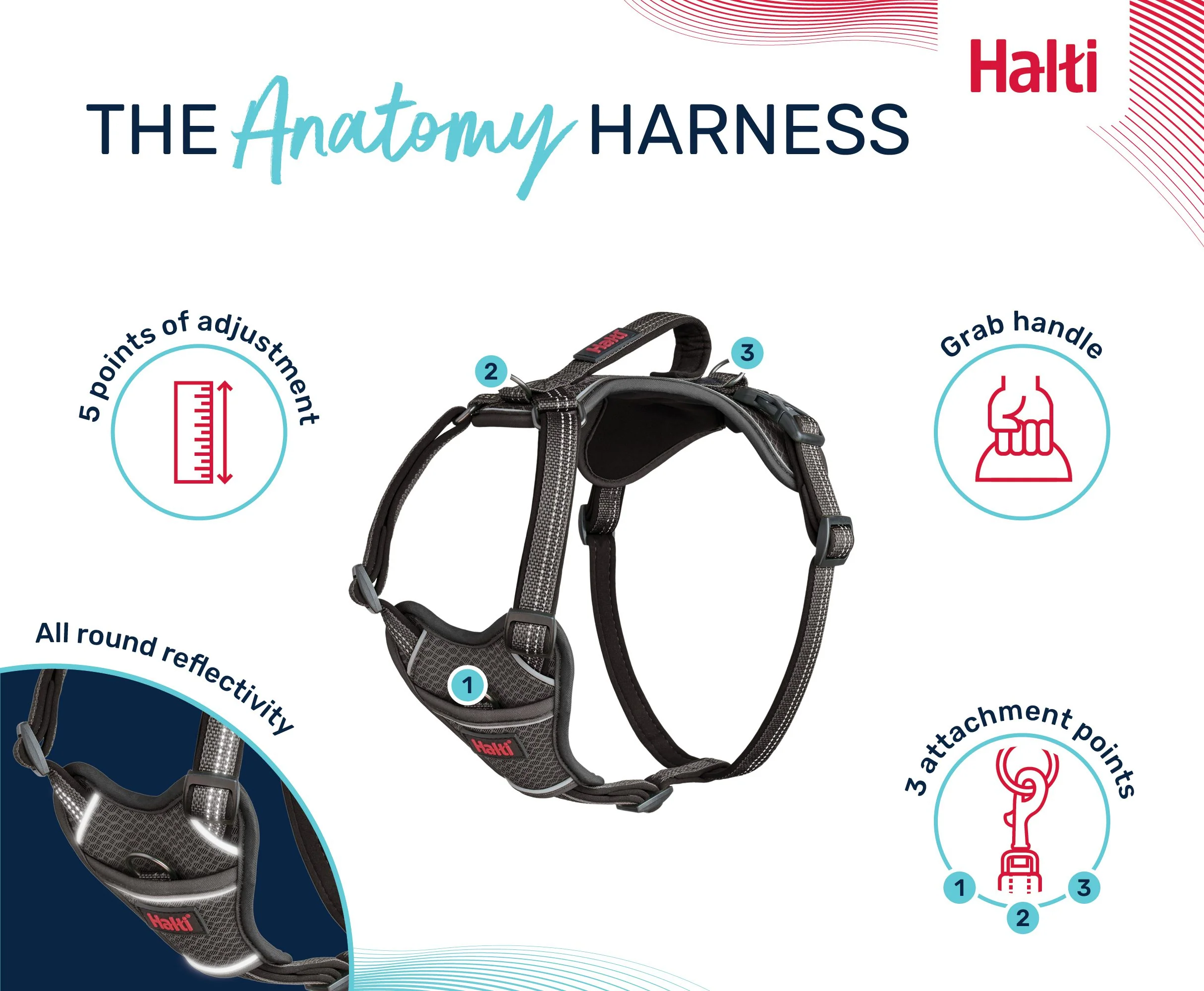 Halti Anatomy Dog Harness - Image 7