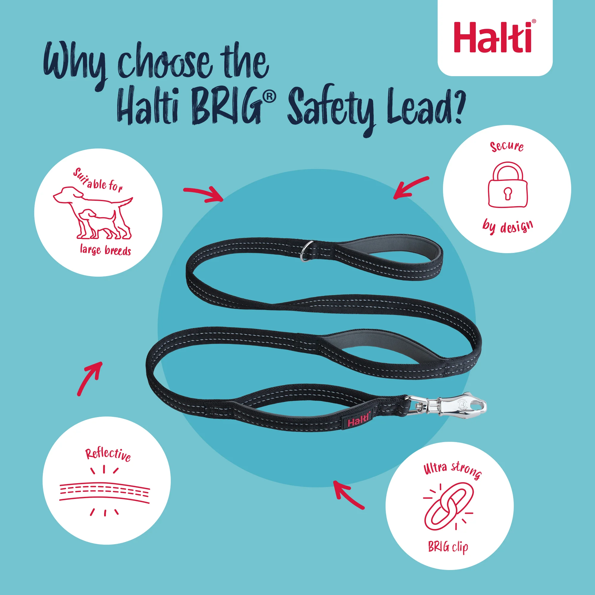 Halti BRIG Safety Lead Large - Image 5