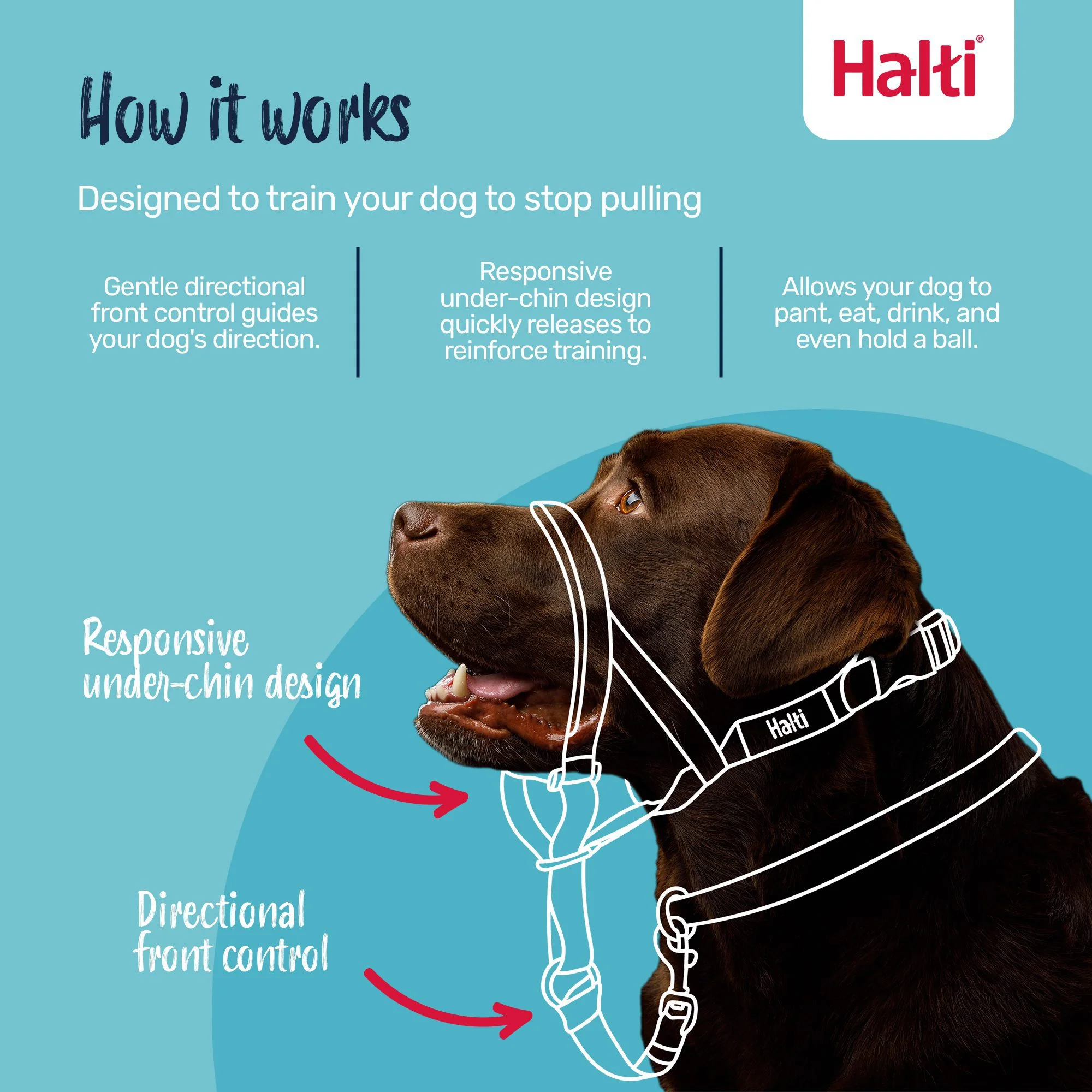 Halti Dog Head Collar Black Size 5 - Image 3