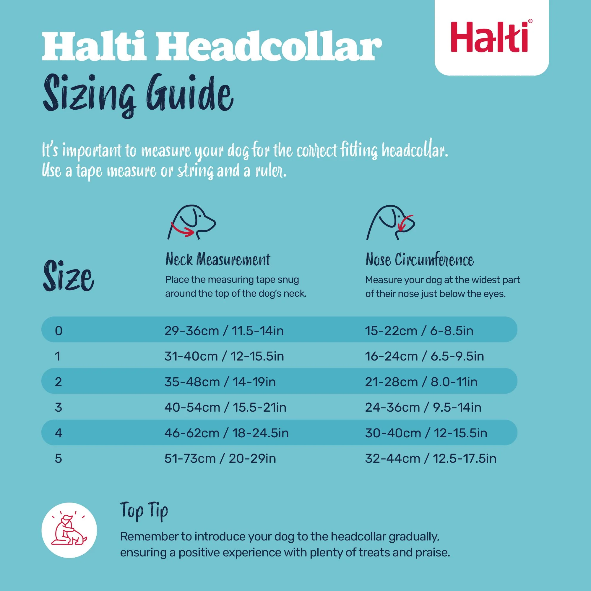 Halti Dog Head Collar Black Size 5 - Image 4