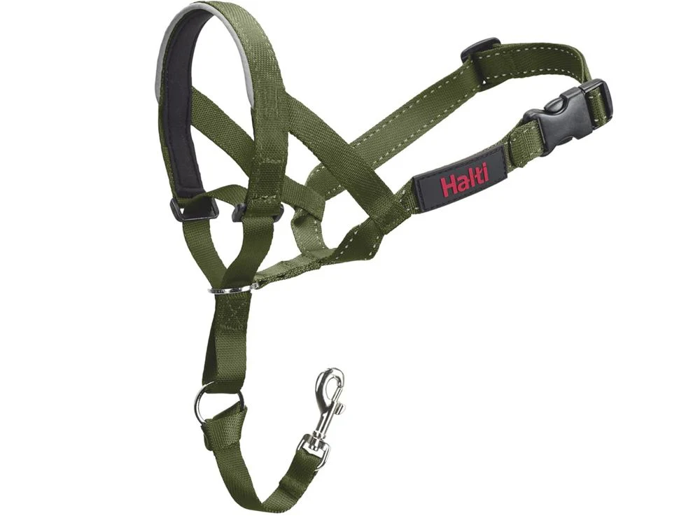 Halti Headcollar for Dogs - Image 2