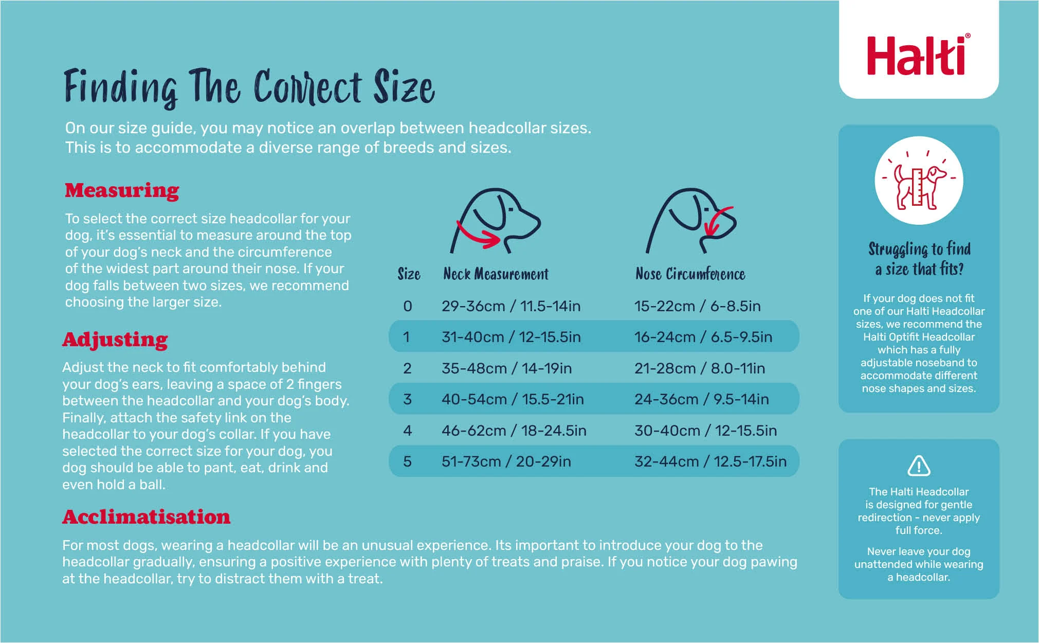 Halti Headcollar for Dogs - Image 3