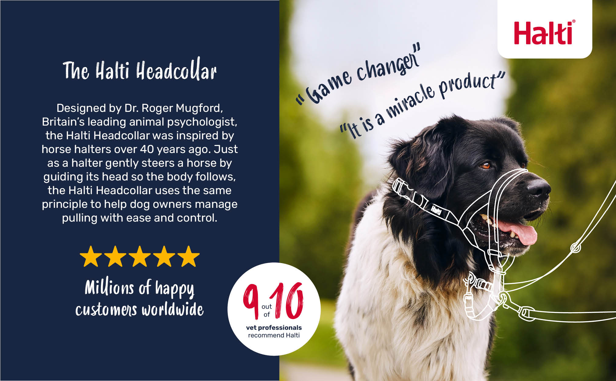 Halti Headcollar for Dogs - Image 4