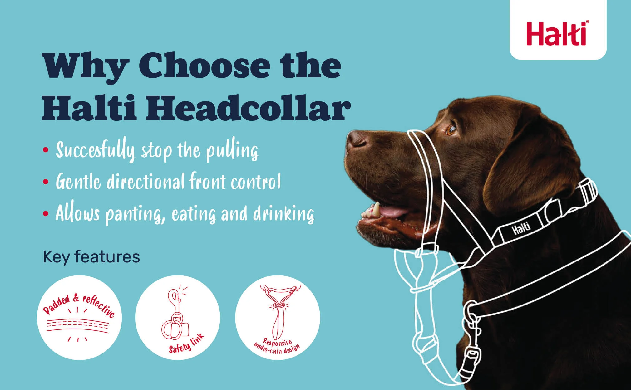 Halti Headcollar for Dogs - Image 5
