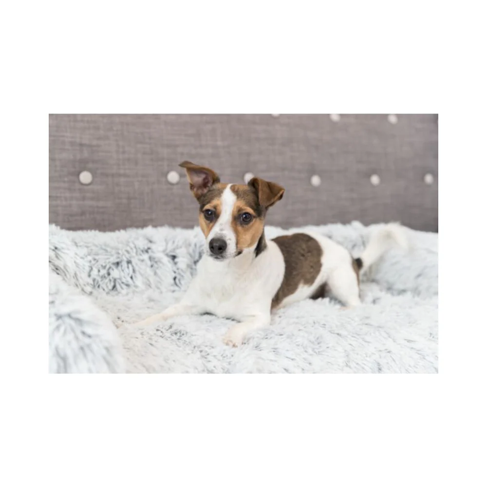 Harvey Pet Furniture Protector Sofa Bed – Soft Edition - Image 6