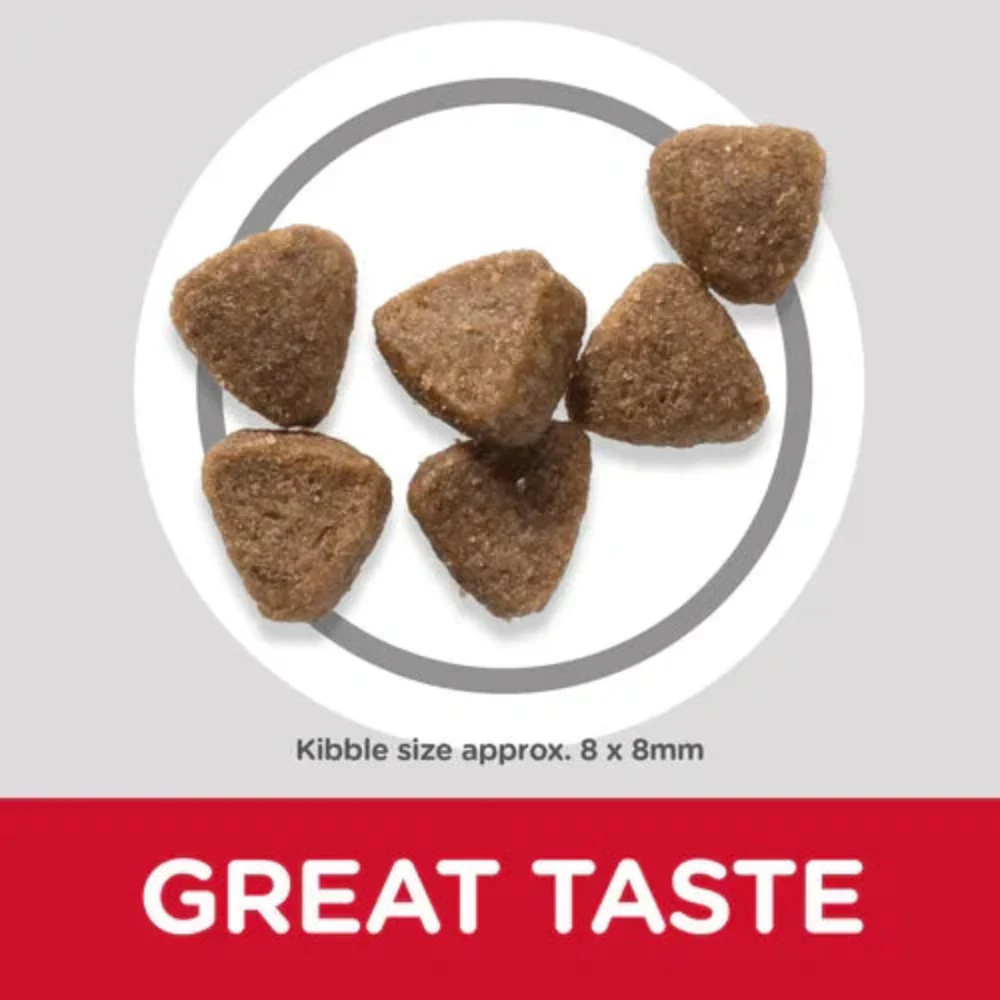Hill's Science Plan Kitten Dry Cat Food – Tuna - Image 3