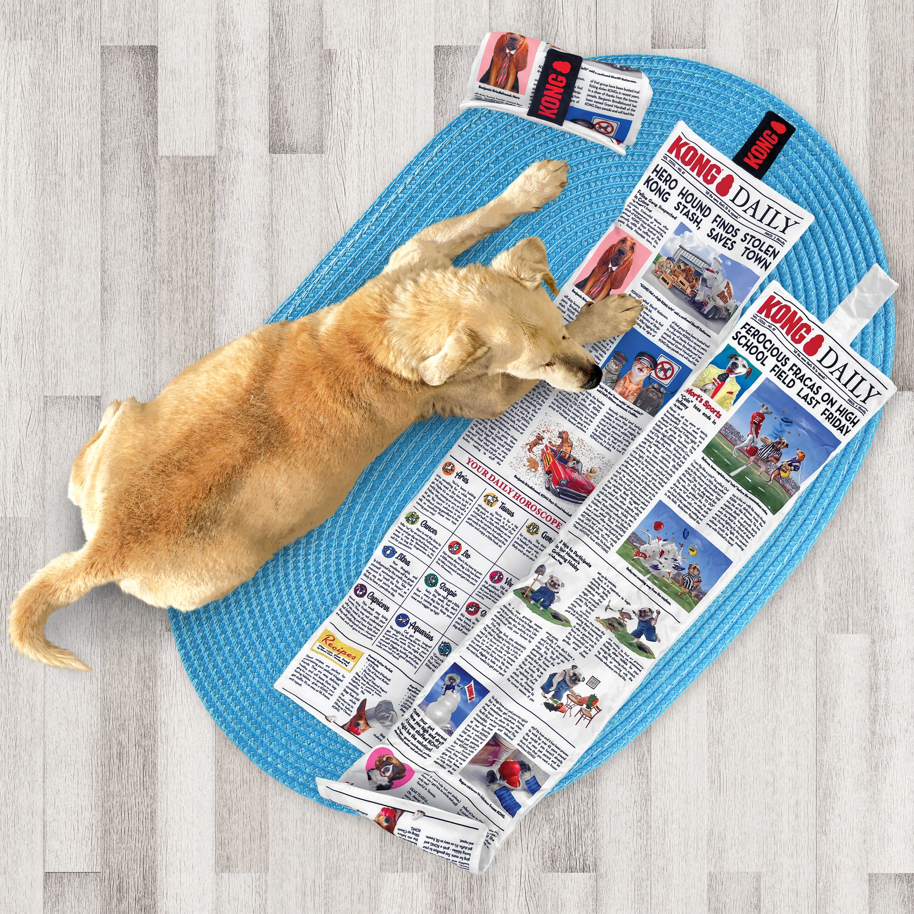 KONG  Daily Newspaper XL - Image 2