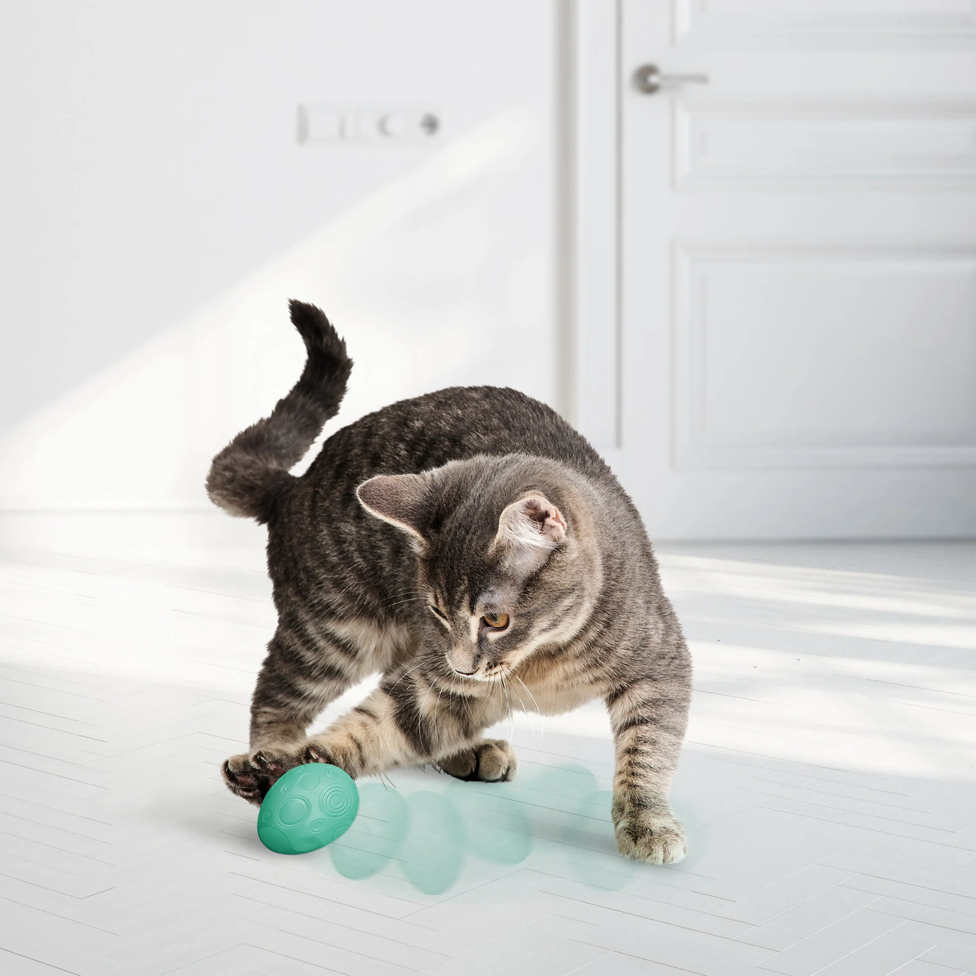 KONG Infused Catnip Eggs 2pk - Image 2