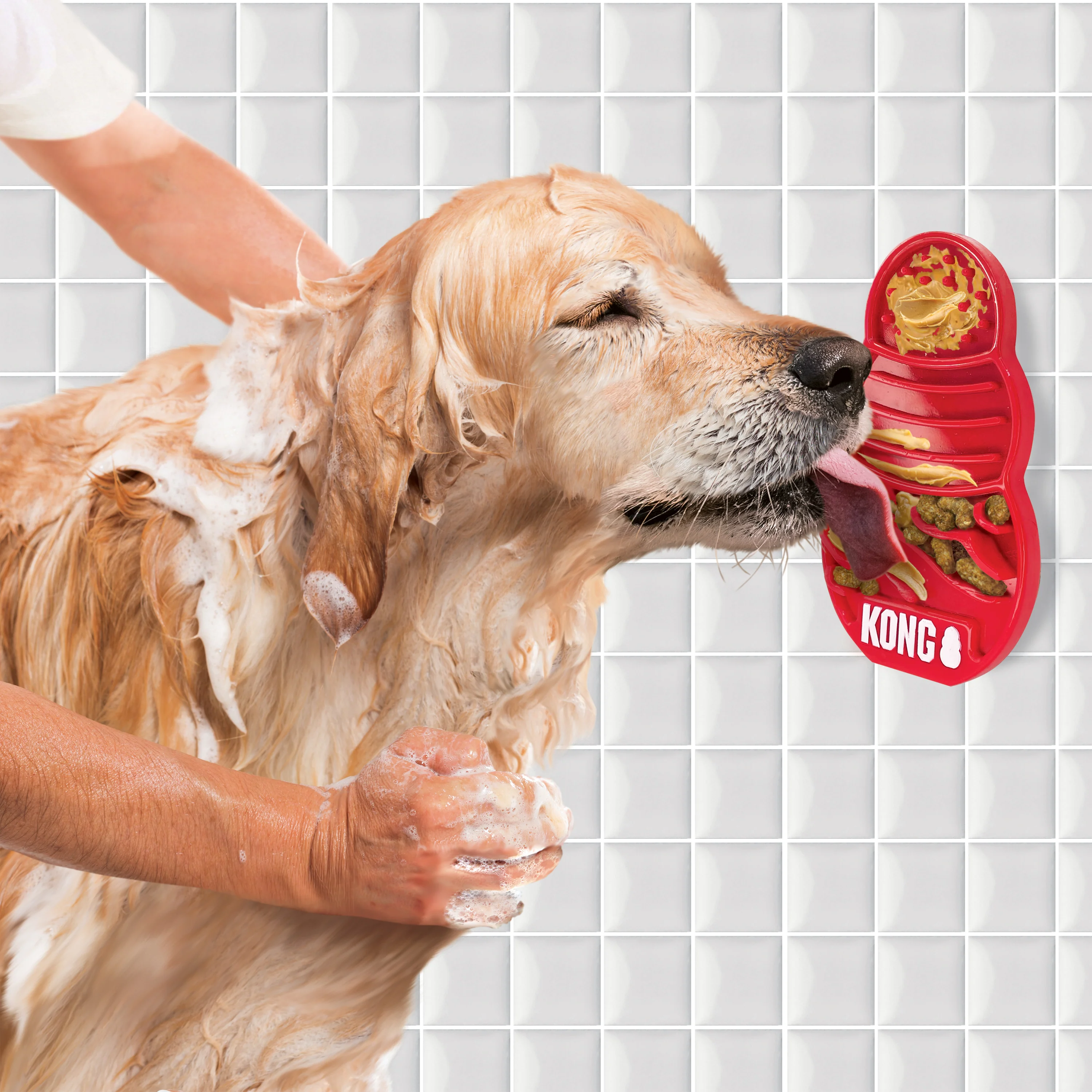 KONG  Licks - Image 4