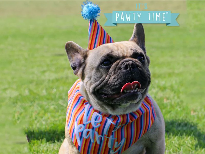 Lets Party Bandana and Hat set - Image 2