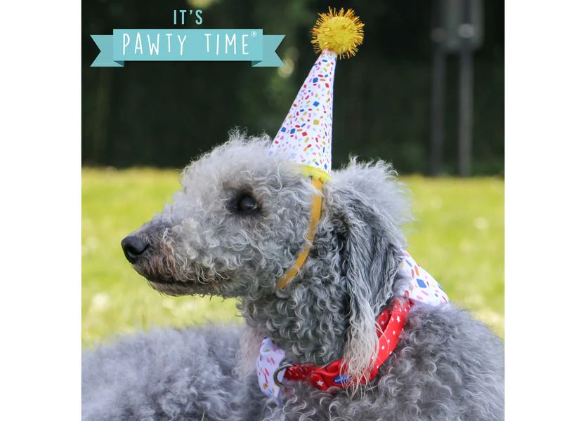 Sprinkle Happy Birthday Bandana and Hat set - Image 2