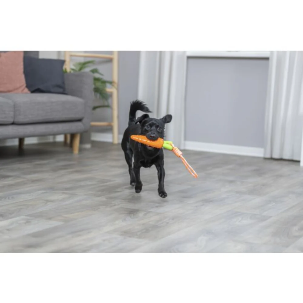 Carrot on a rope dog toy - Image 3