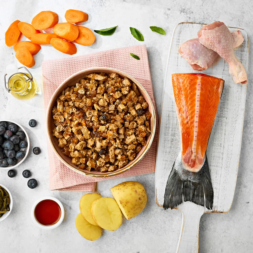 Naturo Dog Tins Grain Free Salmon & Chicken in Herb Jelly - Image 2