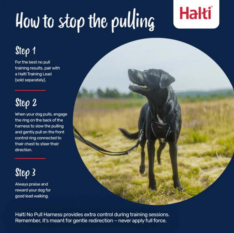 Halti No Pull Harness Large - Image 4