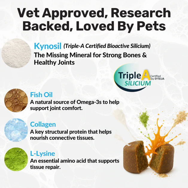 Nutripaw Hip and Joint Plus Treats - Image 5