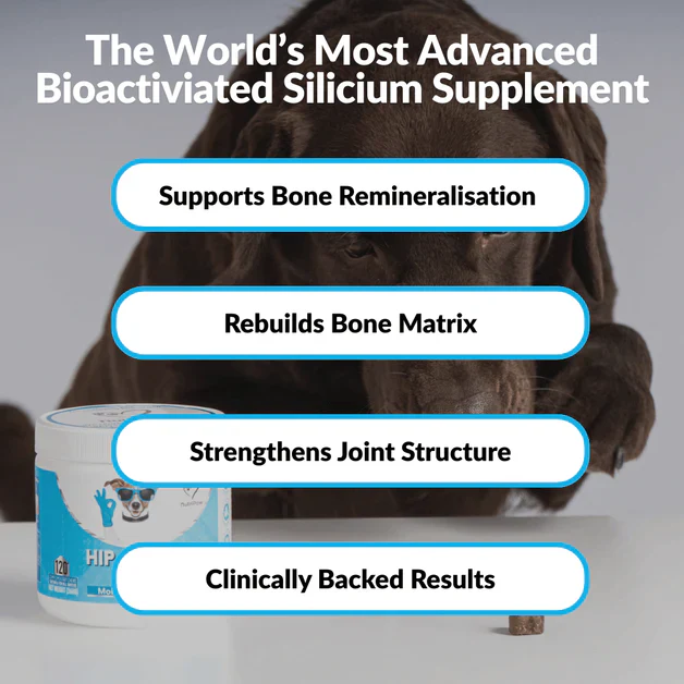 Nutripaw Hip and Joint Plus Treats - Image 6