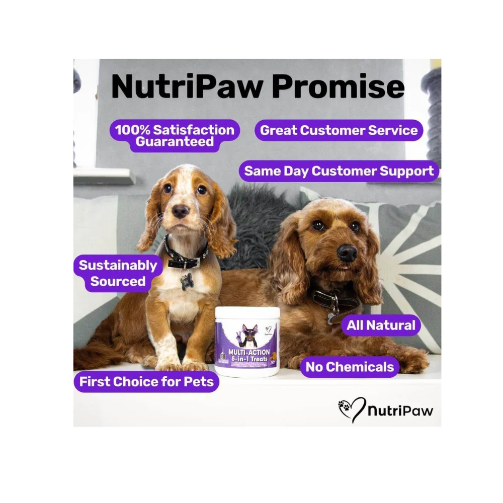 Nutripaw Multi-Action 8 in 1 Treats - Image 6