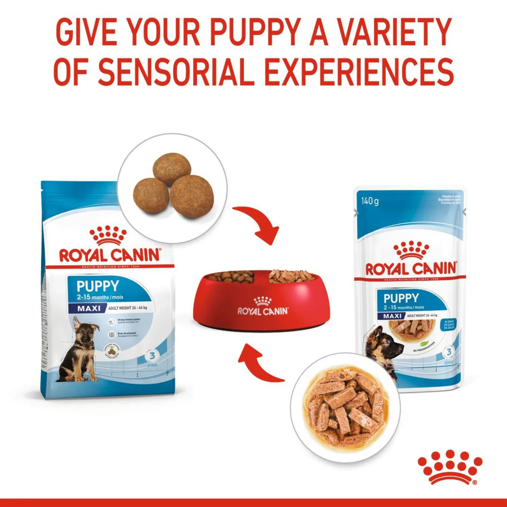 Royal Canin Maxi Puppy Chunks In Gravy 140g - Image 2