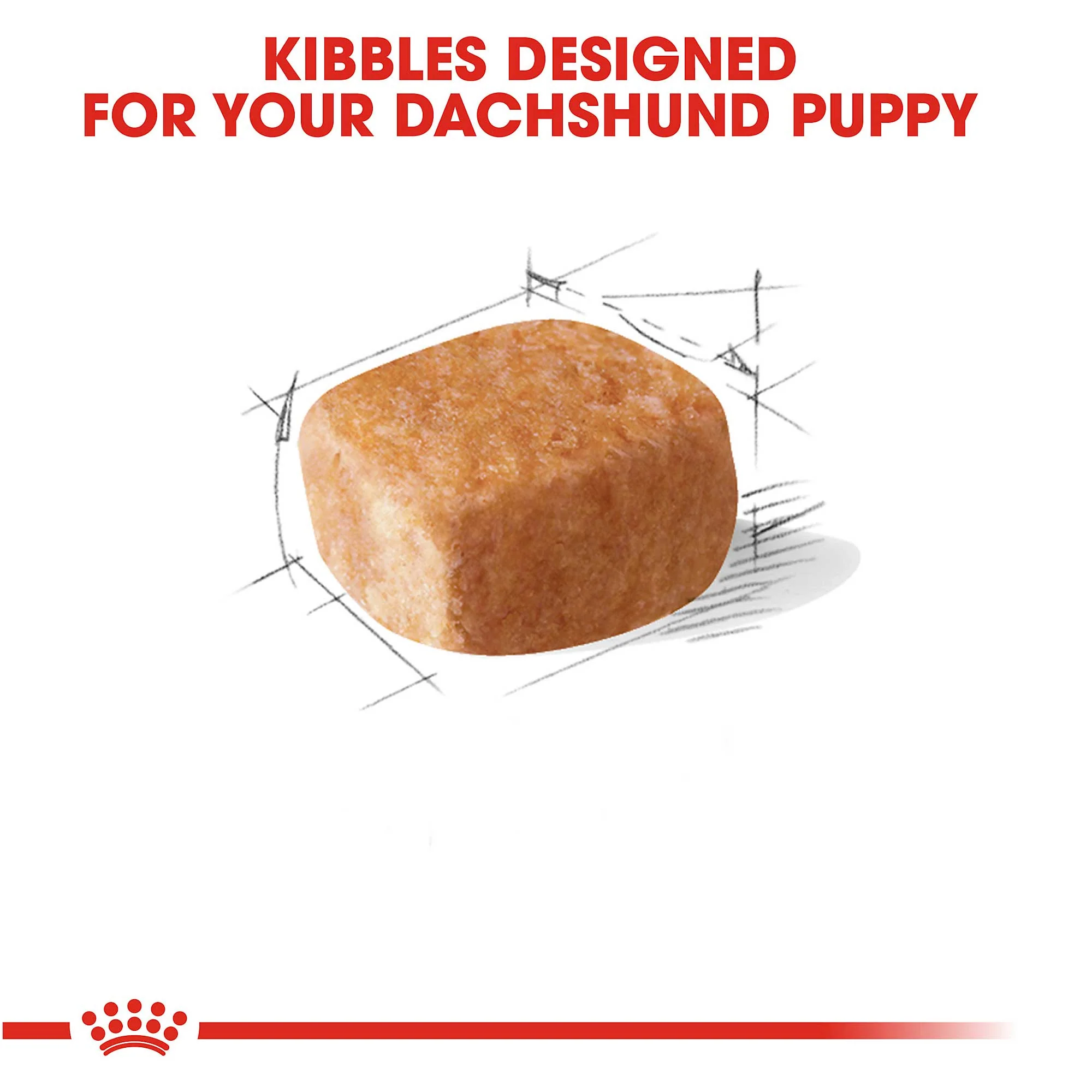 Royal Canin Dachshund Puppy 1.5Kg - Image 3