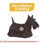 Royal Canin Dermacomfort Care Loaf 85g Pouch - Image 3