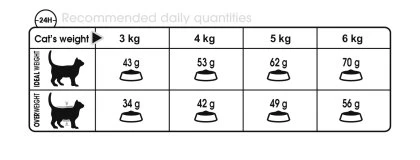 Royal Canin Digestive Comfort Adult Dry Cat Food - Image 2