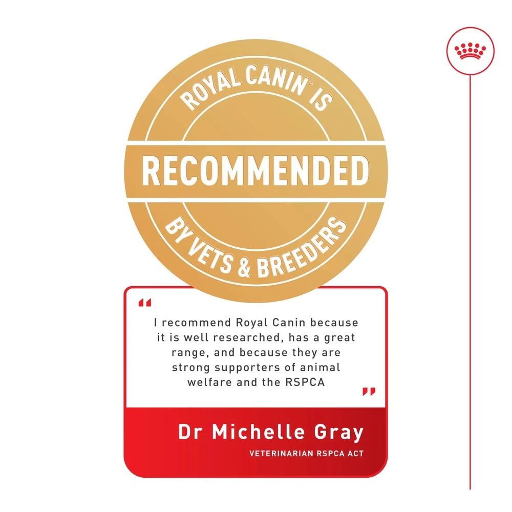 Royal Canin Appetite Control Care in Gravy Wet Cat Food 85g - Image 3