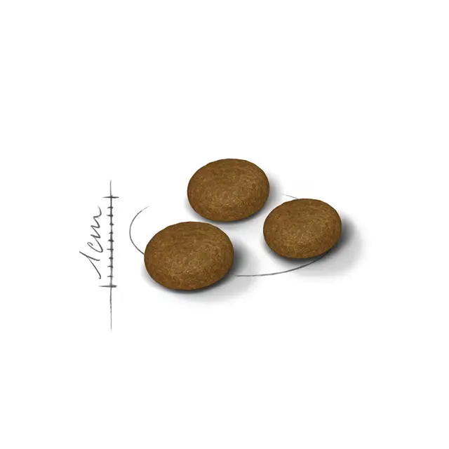 Royal Canin Fussy Cat Food - Image 2