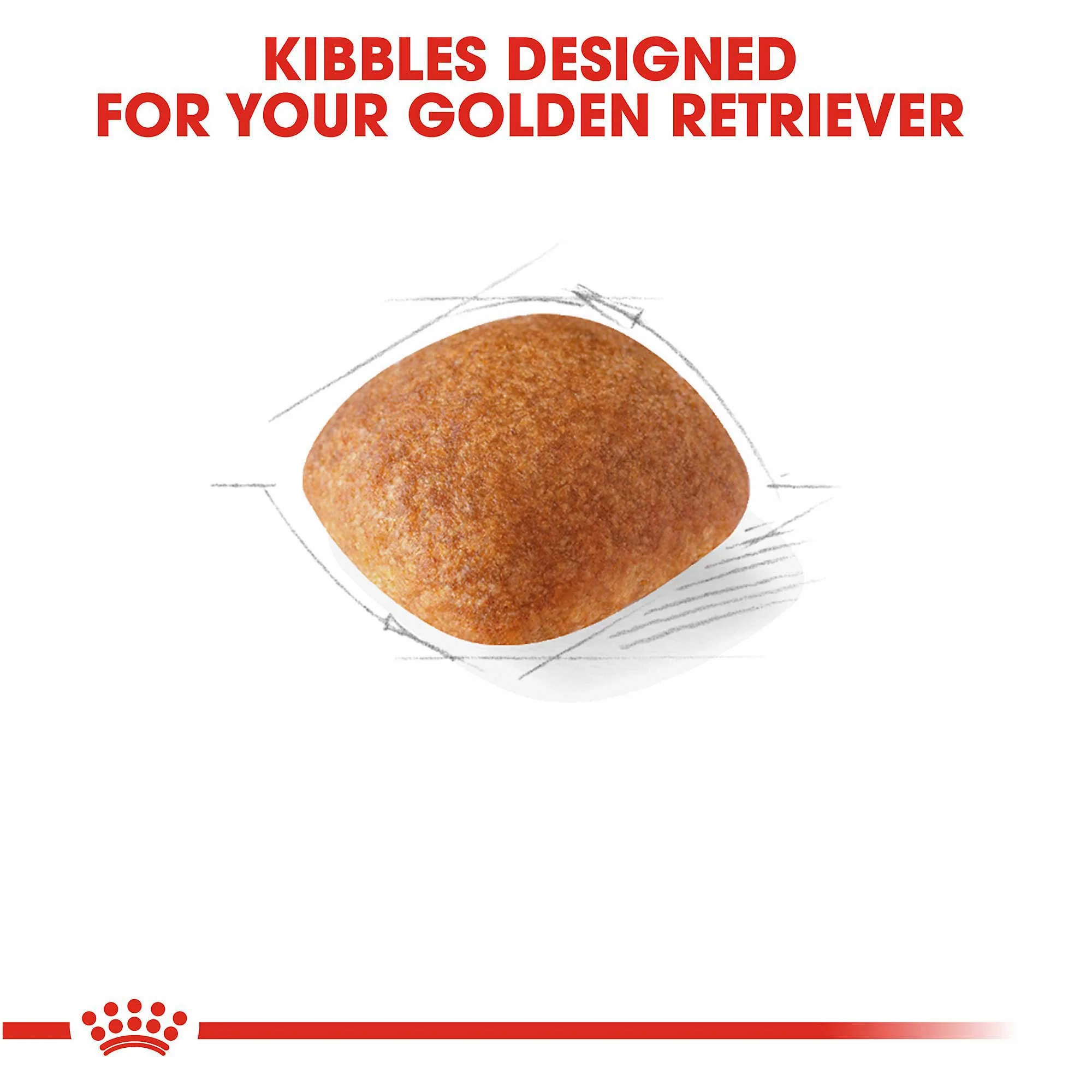 Royal Canin Golden Retriever - Image 2