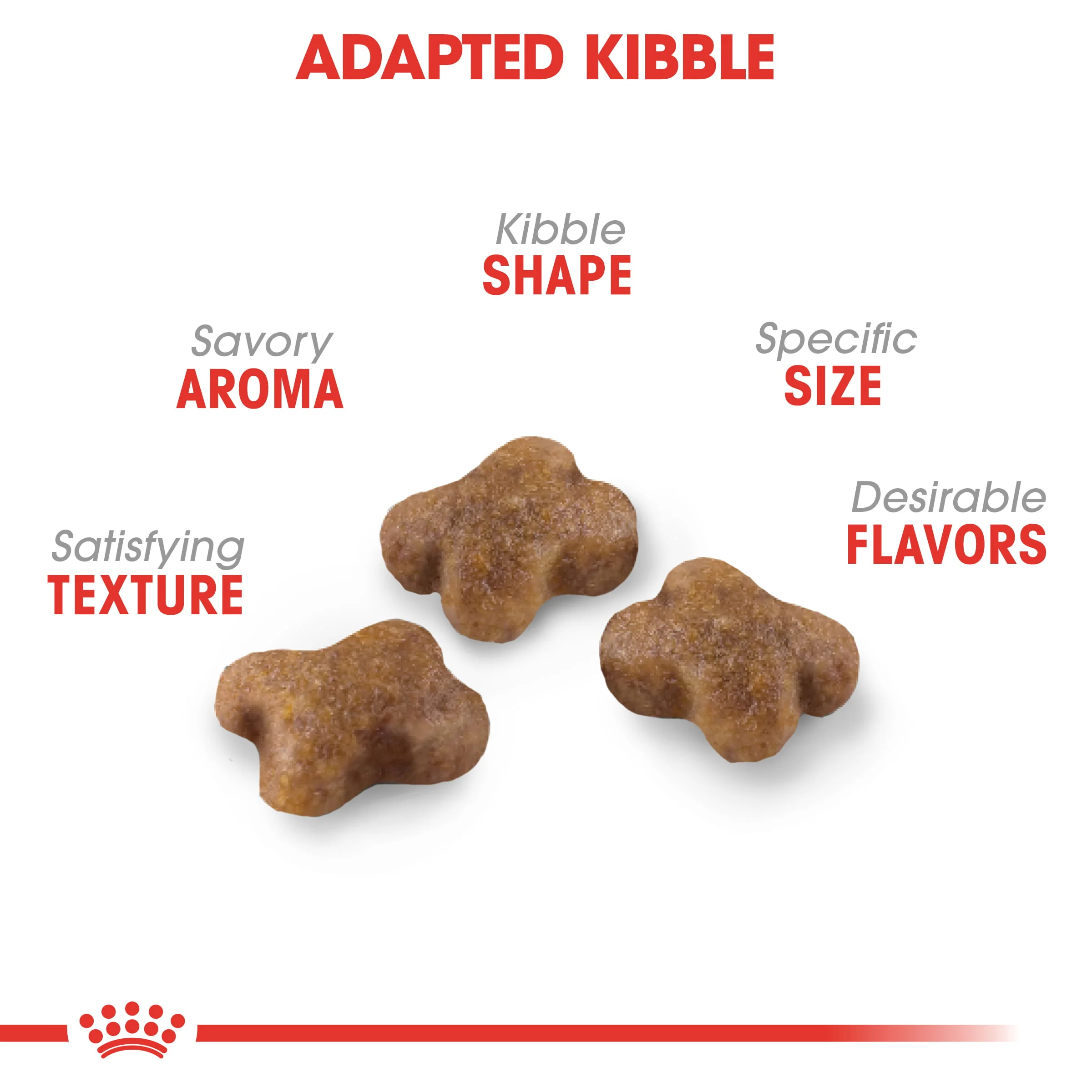 Royal Canin Kitten Dry Cat Food - Image 4