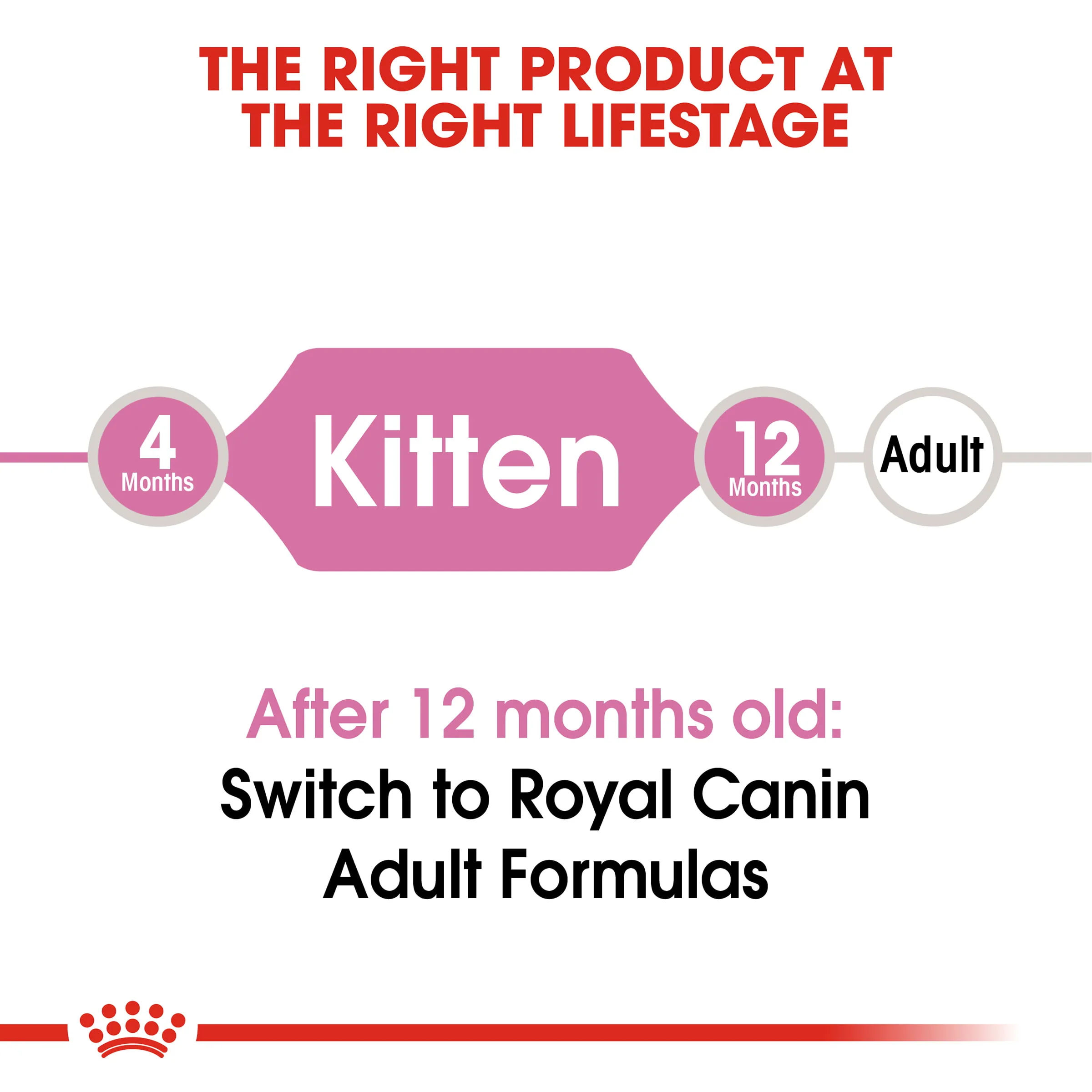Royal Canin Kitten Dry Cat Food - Image 5