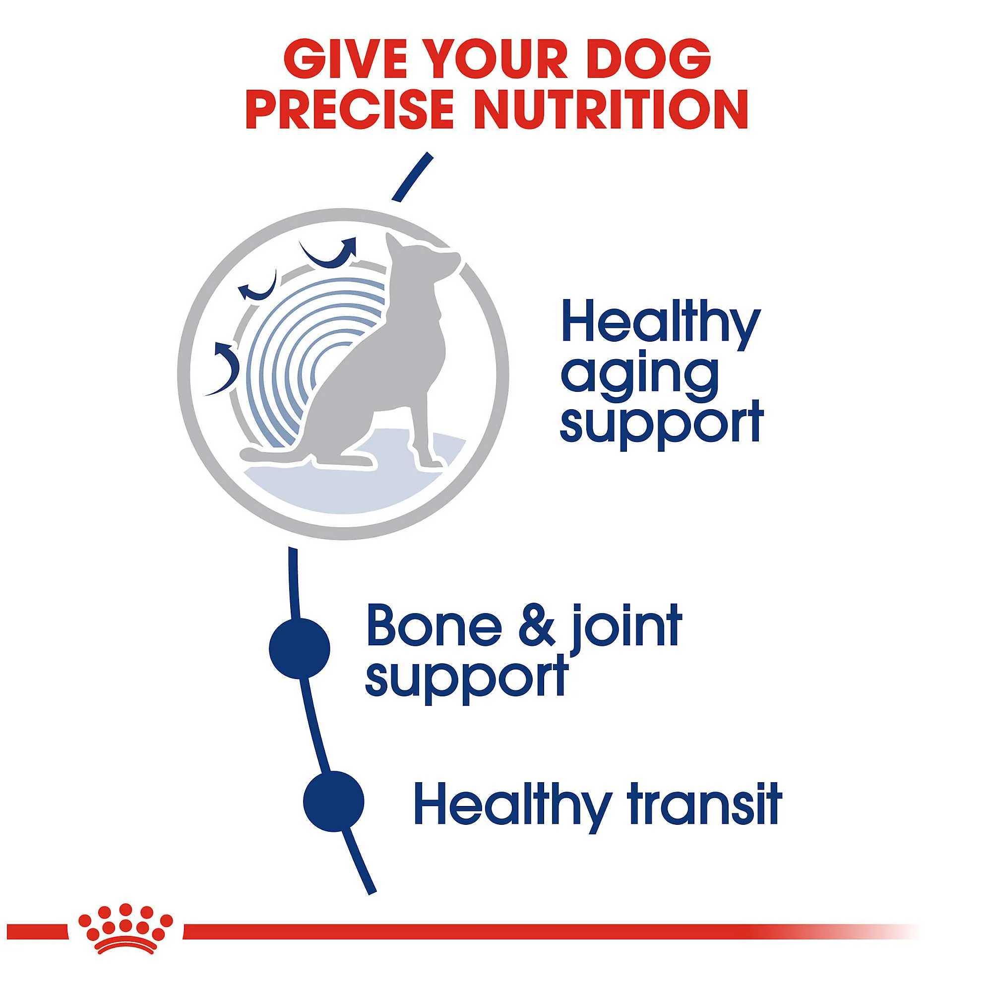 Royal Canin Maxi Ageing 8+ Dog Food - Image 3