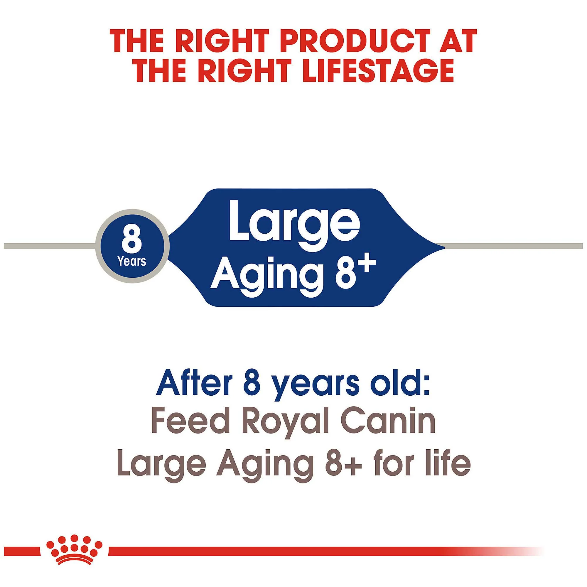Royal Canin Maxi Ageing 8+ Dog Food - Image 4