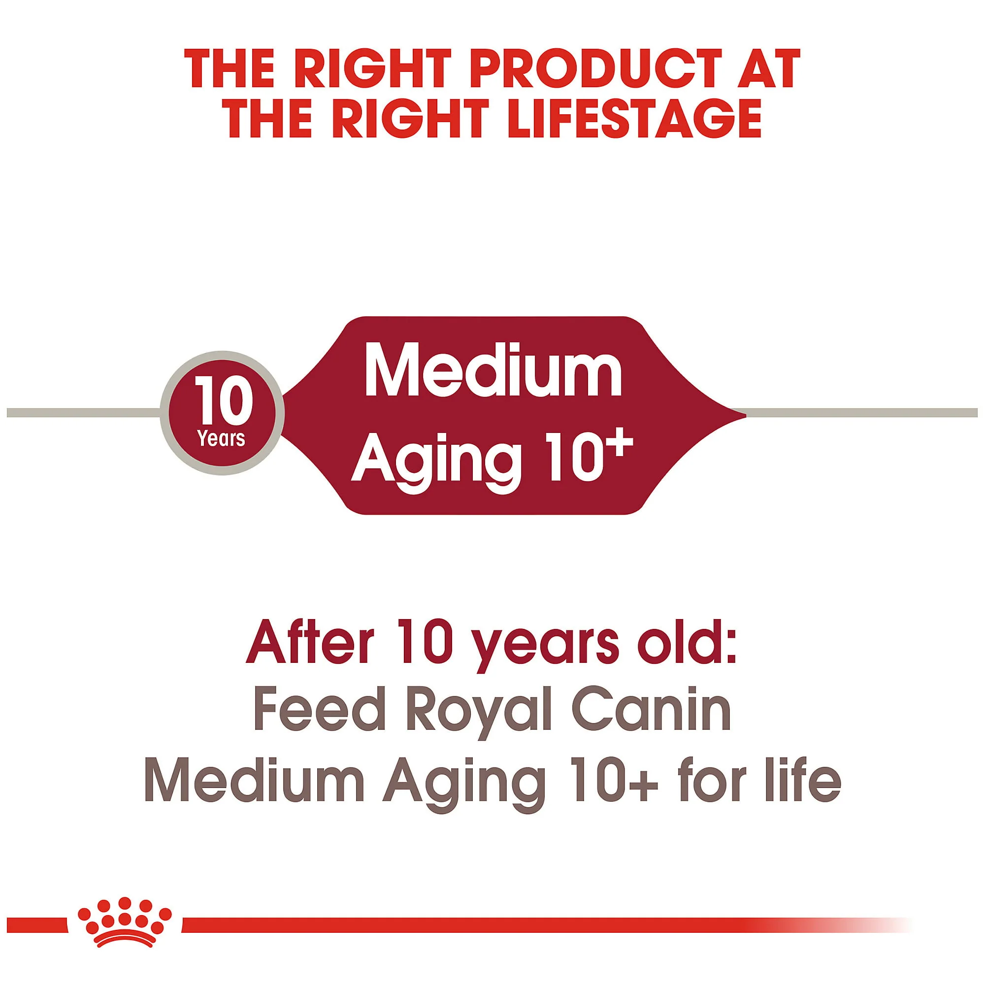 Royal Canin Medium Aging 10+ Dog Food - Image 4