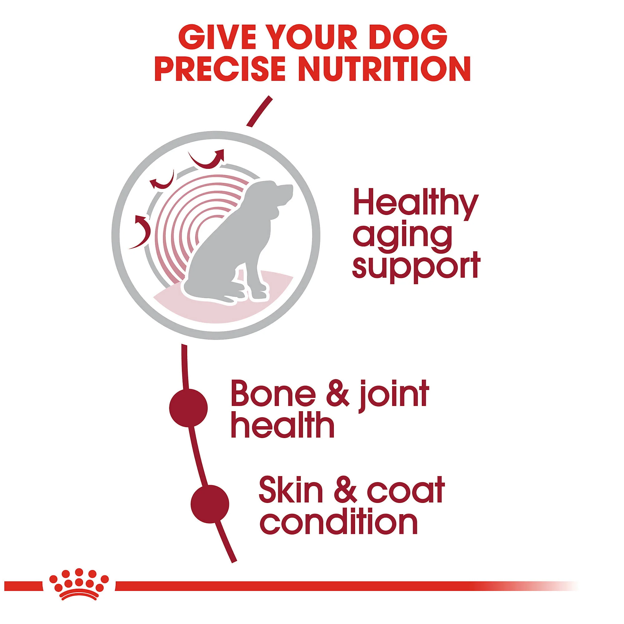 Royal Canin Medium Aging 10+ Dog Food - Image 5