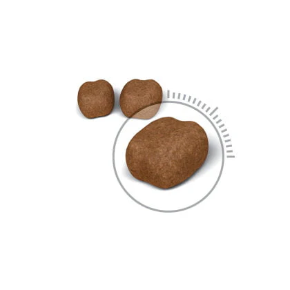 Royal Canin Oral Care 30 Adult Dry Cat Food - Image 3